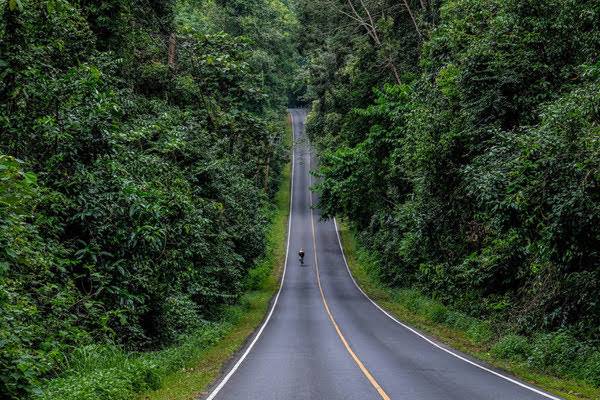 66 - https://tuvanvip.com | W​elcome to Thailand By TU Van VIP on tours. Van rental with Driver service. we are van vip rental transfer on tour in Bangkok ​service.