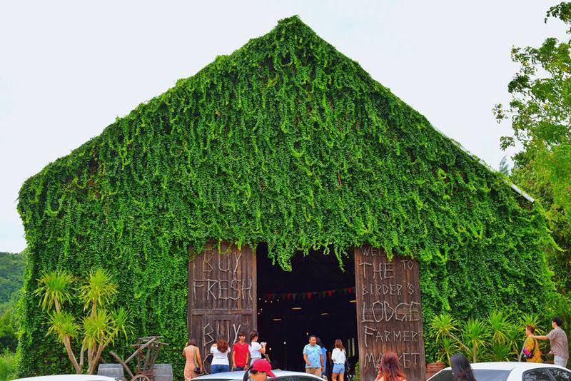 69 - https://tuvanvip.com | W​elcome to Thailand By TU Van VIP on tours. Van rental with Driver service. we are van vip rental transfer on tour in Bangkok ​service.