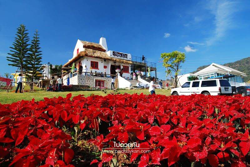 72 - https://tuvanvip.com | W​elcome to Thailand By TU Van VIP on tours. Van rental with Driver service. we are van vip rental transfer on tour in Bangkok ​service.