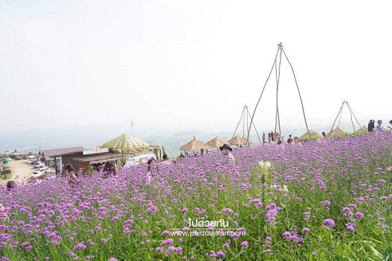 79 - https://tuvanvip.com | W​elcome to Thailand By TU Van VIP on tours. Van rental with Driver service. we are van vip rental transfer on tour in Bangkok ​service.